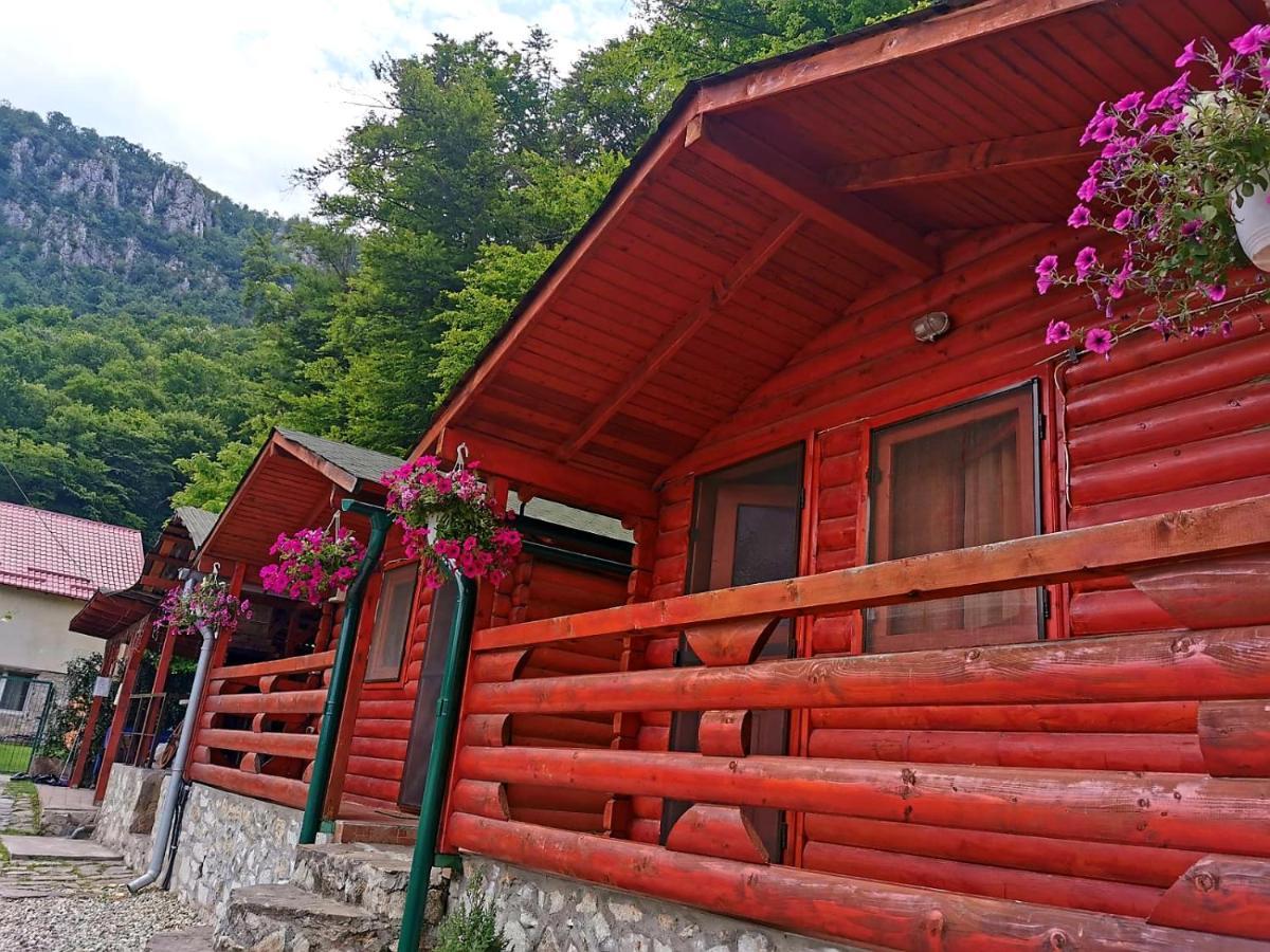 Vila Casa Beasarah. Dubová Exteriér fotografie
