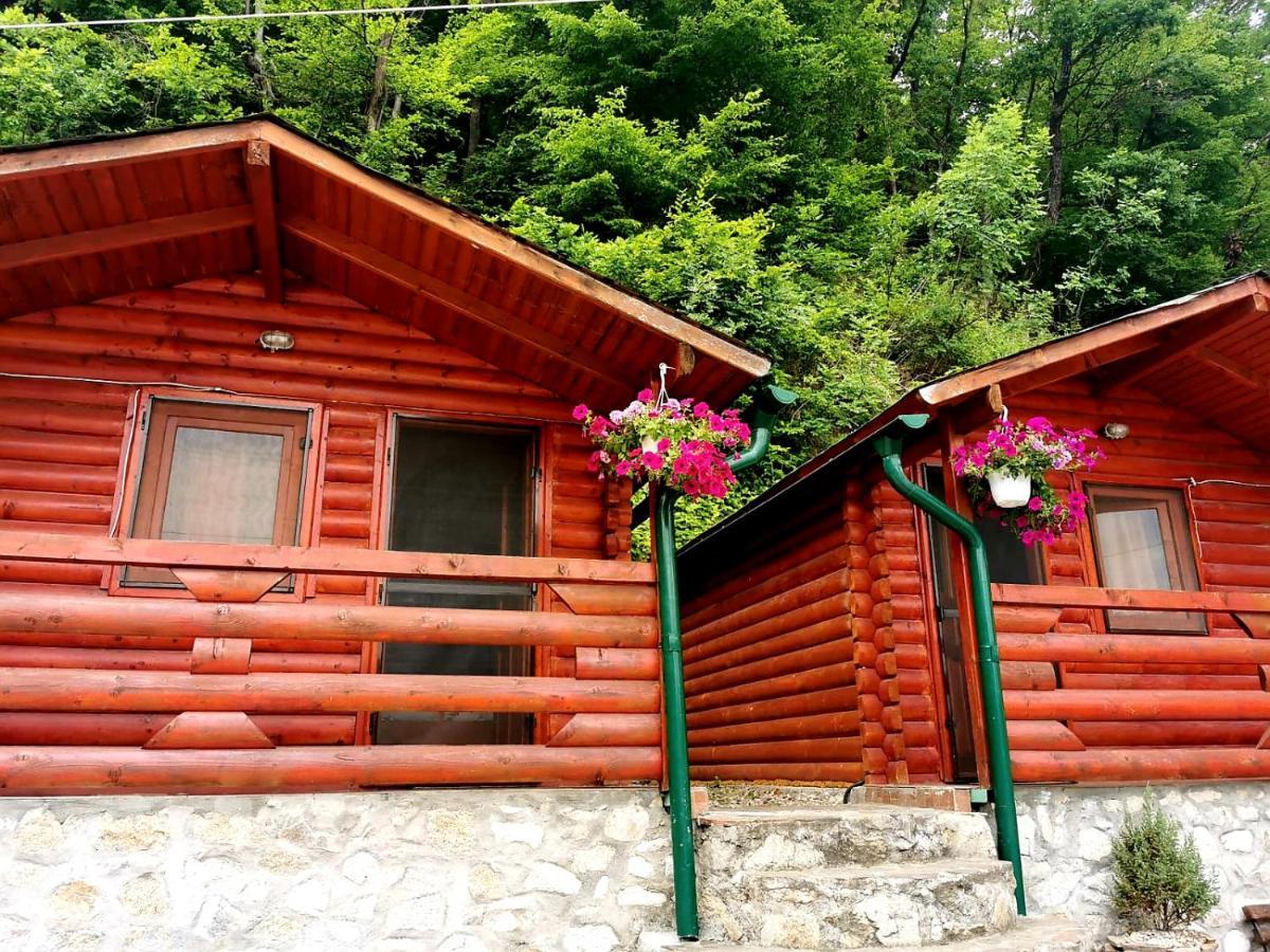 Vila Casa Beasarah. Dubová Exteriér fotografie